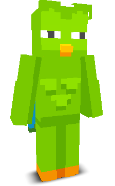 User's Minecraft appearance