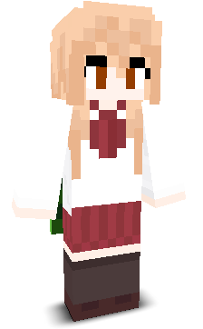 User's Minecraft appearance
