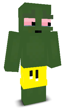 User's Minecraft appearance