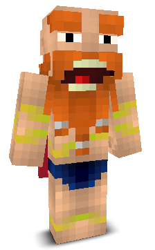 User's Minecraft appearance