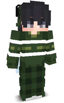 User's Minecraft appearance