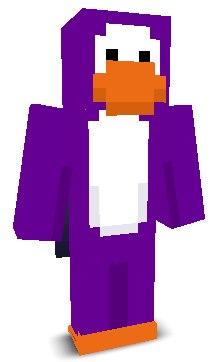User's Minecraft appearance