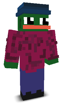User's Minecraft appearance