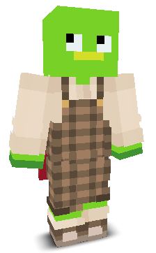 User's Minecraft appearance