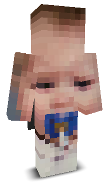 User's Minecraft appearance