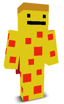 User's Minecraft appearance