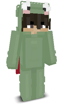 User's Minecraft appearance