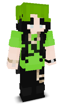 User's Minecraft appearance