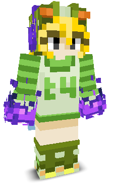 User's Minecraft appearance