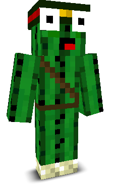 User's Minecraft appearance