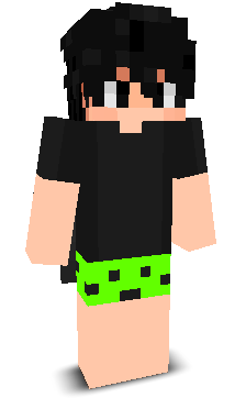 User's Minecraft appearance