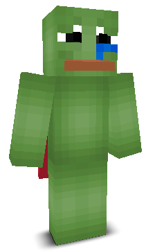 User's Minecraft appearance