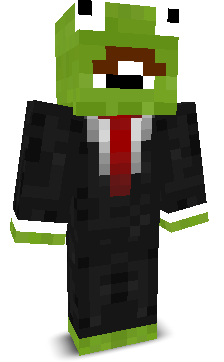 User's Minecraft appearance
