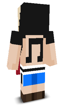 User's Minecraft appearance