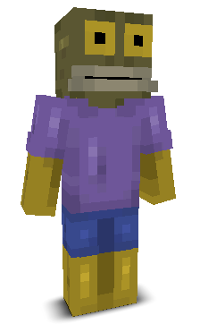 User's Minecraft appearance