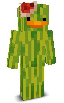 User's Minecraft appearance