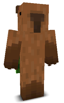 User's Minecraft appearance