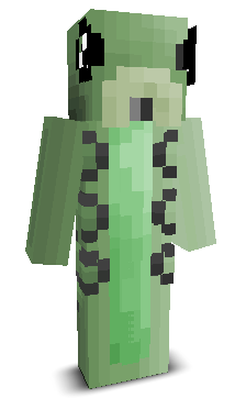 User's Minecraft appearance