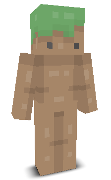 User's Minecraft appearance