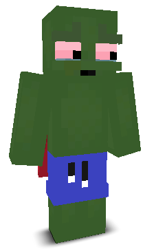 User's Minecraft appearance