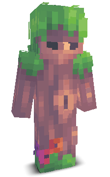 User's Minecraft appearance
