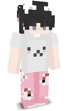 User's Minecraft appearance