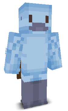 User's Minecraft appearance