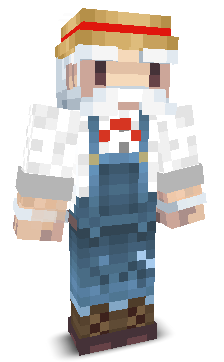 User's Minecraft appearance
