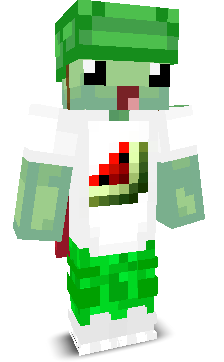 User's Minecraft appearance