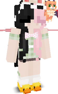 User's Minecraft appearance