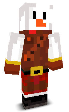 User's Minecraft appearance