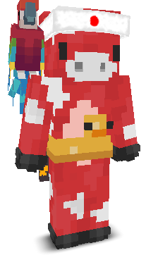 User's Minecraft appearance