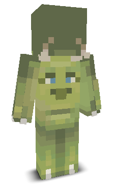 User's Minecraft appearance