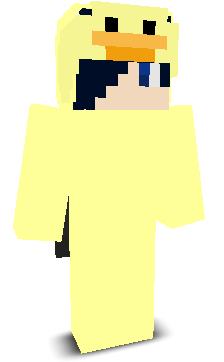 User's Minecraft appearance