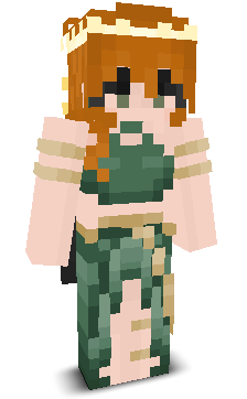 User's Minecraft appearance