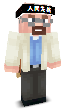 User's Minecraft appearance