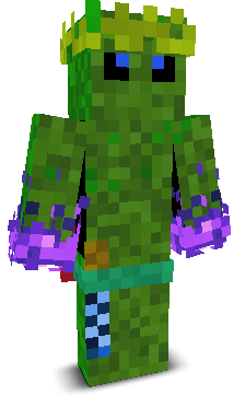 User's Minecraft appearance
