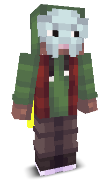User's Minecraft appearance