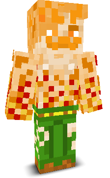 User's Minecraft appearance