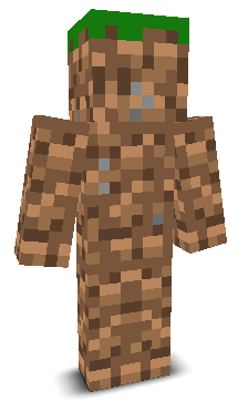 User's Minecraft appearance