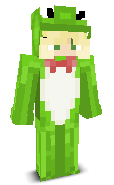 User's Minecraft appearance