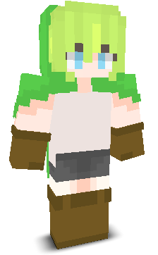 User's Minecraft appearance