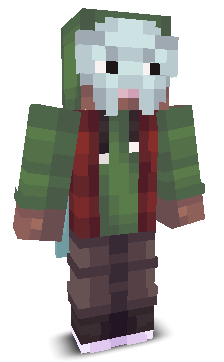 User's Minecraft appearance