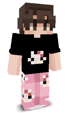 User's Minecraft appearance
