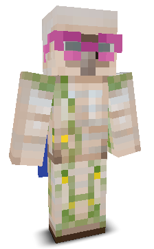 User's Minecraft appearance