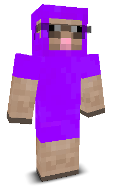User's Minecraft appearance