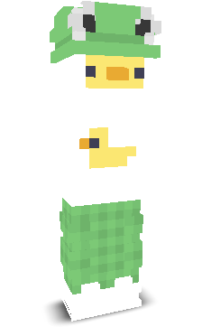 User's Minecraft appearance