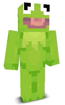 User's Minecraft appearance