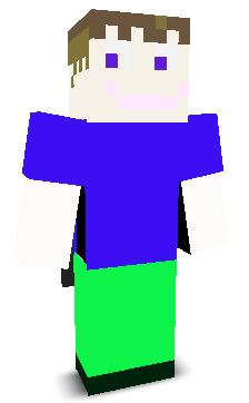 User's Minecraft appearance