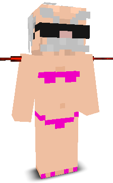 User's Minecraft appearance